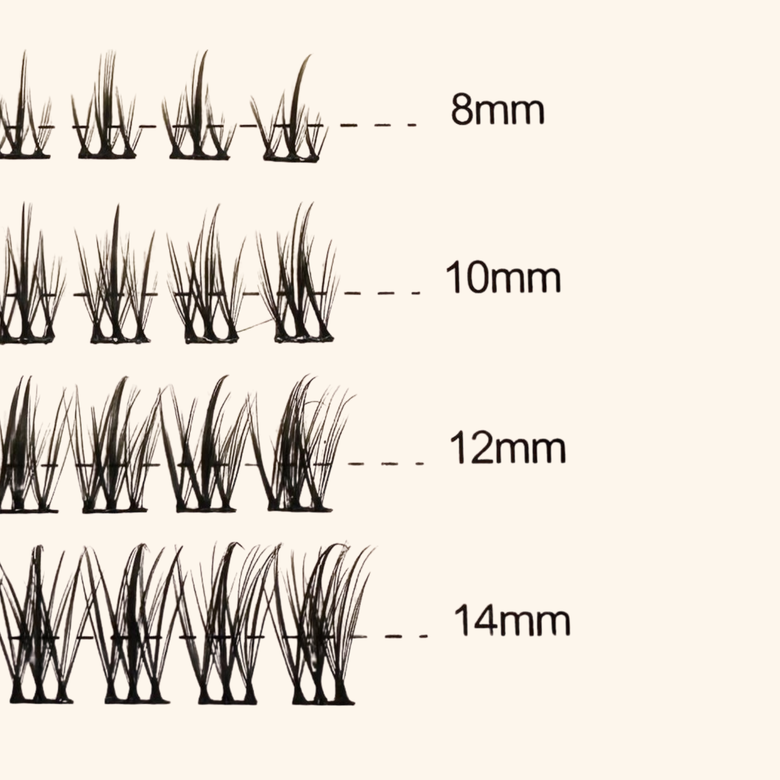 ciglia lash landia regular