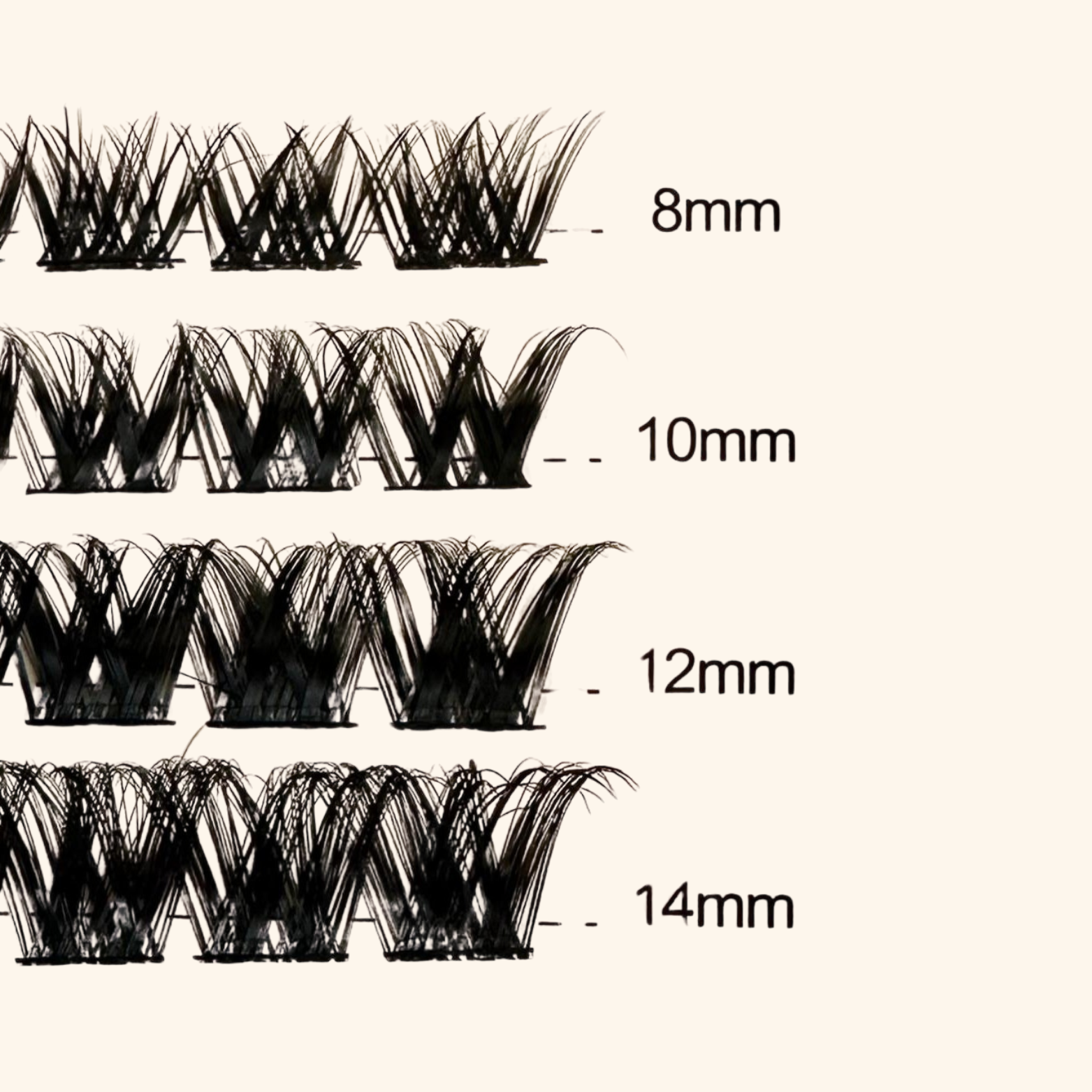 ciglia lash landia regular