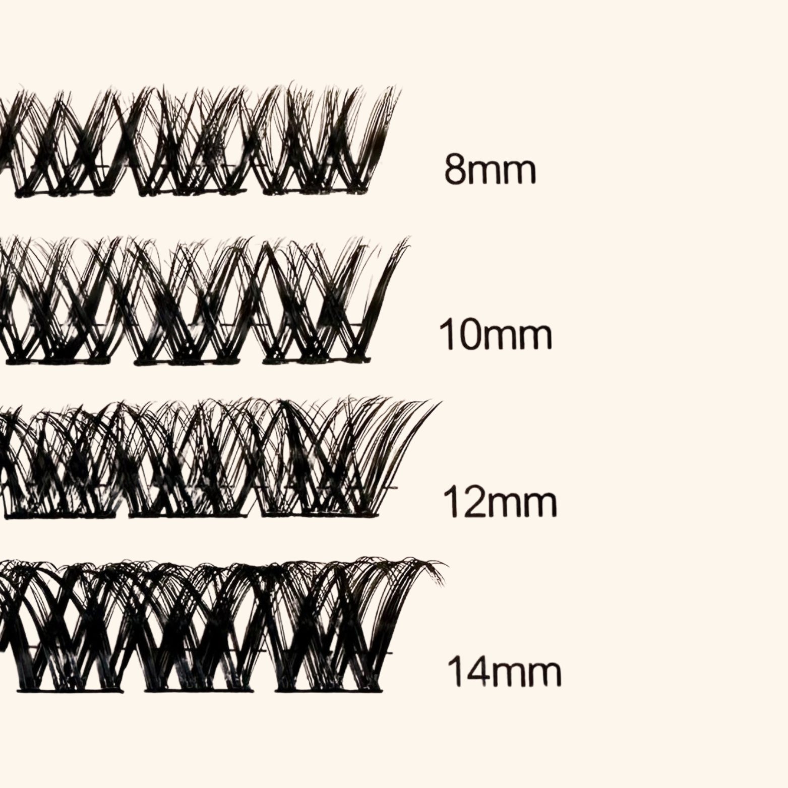ciglia lash landia regular